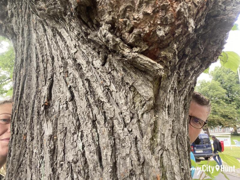 myCityQuest Scavenger Hunt 1