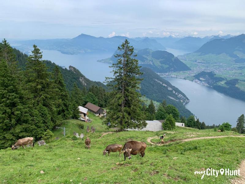 myCityQuest Scavenger Hunt 5