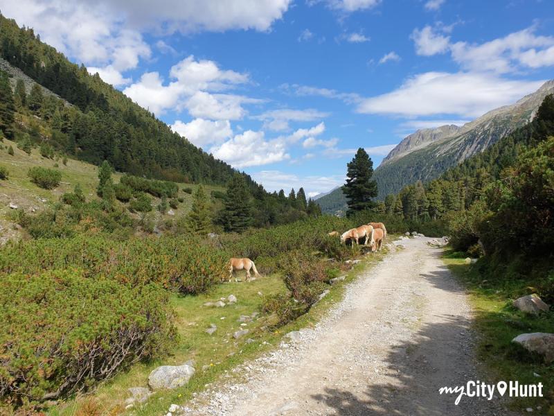 myCityQuest Scavenger Hunt 9