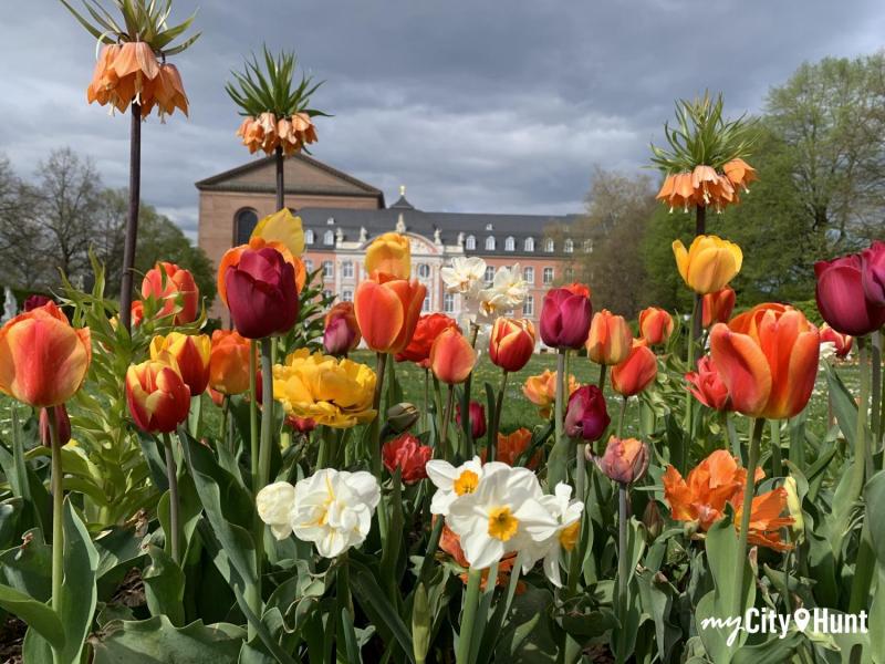 myCityQuest Scavenger Hunt 15