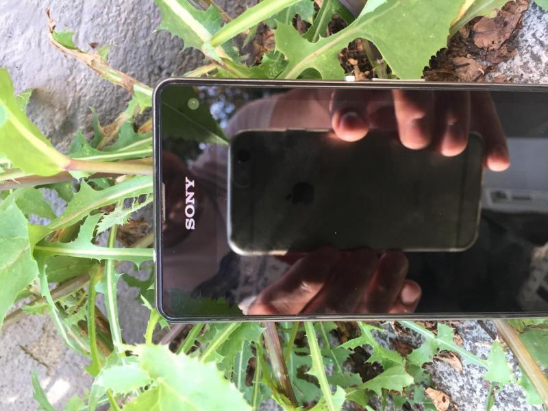 myCityQuest Scavenger Hunt 10