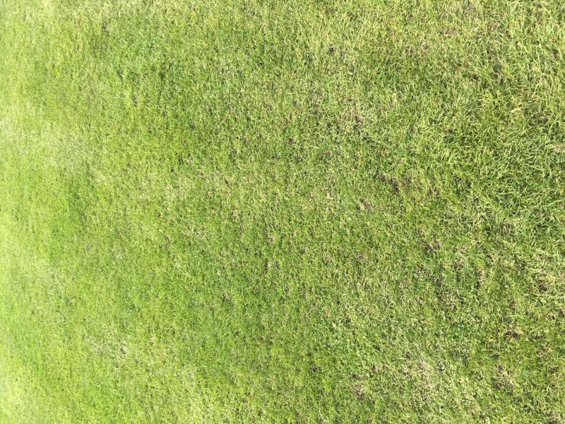 myCityQuest Scavenger Hunt 3